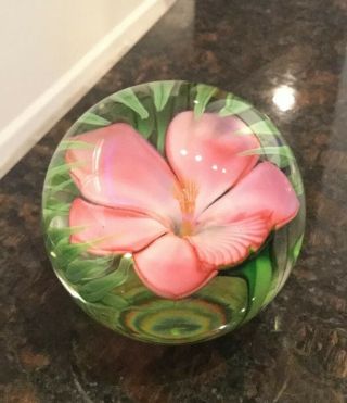 Orient & Flume M.  Quinn Art Glass Paperweight Pink Flower Green Leaves 22/250