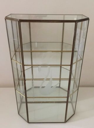 Vintage Glass Brass Display Curio Cabinet Tabletop Or Hang 15 " Tall - Etched Swan