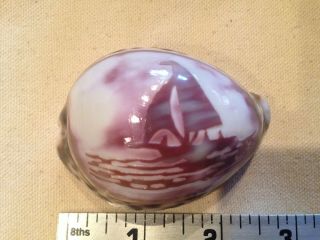 Vintage Tiger Cowrie Shell Hand Carved Sailing Ship 2.  5 Inches 2