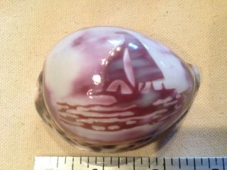Vintage Tiger Cowrie Shell Hand Carved Sailing Ship 2.  5 Inches 3
