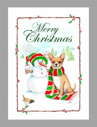 Chihuahua Christmas Cards,  Box Of 16 Cards & 16 Envelopes