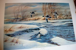 Drifting By Terry Redlin - Golden - Eye Ducks Limited Edition Print Of 846 Of 960