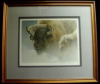 Robert Bateman Signed Art Print - Wood Bison Portrait - 248/950 - Framed