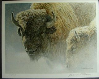 Robert Bateman Signed Art Print - Wood Bison Portrait - 248/950 - Framed 2