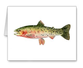 Cutthroat Trout Note Cards By Watercolor Artist Dj Rogers