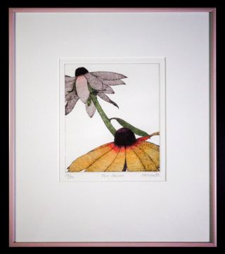 Rare Hand Colored Etching " Two Daisies " By Nw Artist Art Hansen Signed Limited