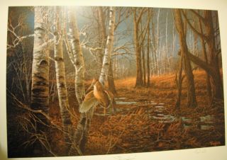 The Loner By Terry Redlin - Woodcock Duck Limited Edition Print Of 260 Of 960
