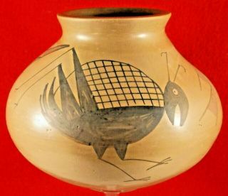 Vintage Casas Grandes Mata Ortiz Hand Coiled Indian Storage Pot