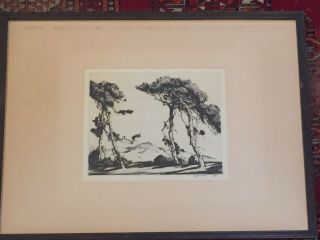 Alfred Hutty Drypoint Etching Loblolly Pines 1939 Charleston Sc Lowcountry Frame