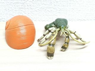 Takara Kaiyodo Realistic Hermit Crab Animal Figure Detailed W/removable Shell