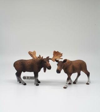 Schleich Moose Bull And Cow,  14619/14620