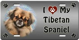 Tibetan Spaniel License Plate - Love