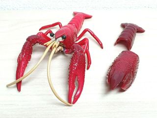 Takara Kaiyodo Freshwater Crayfish Lobster Figure W/removable Shell Exoskeleton