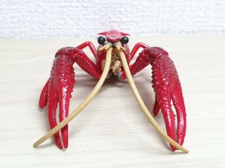 Takara kaiyodo FRESHWATER CRAYFISH lobster figure w/removable shell exoskeleton 3