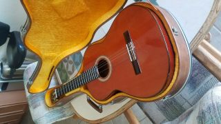 Alvarez Vintage Acoustic Guitar and Case 1975 CY130 2