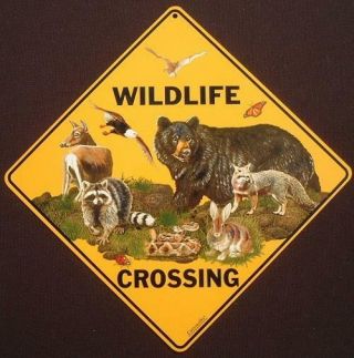 Wildlife Crossing Sign 16 1/2 By 16 1/2 Animals Bear Decor Novelty Signs