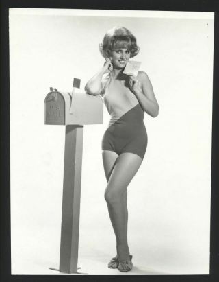 1966 Melody Patterson Leggy Letter Carrier Vintage Photo F Troop