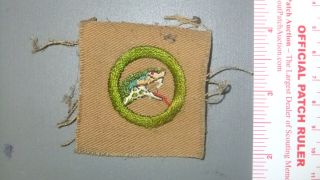 Boy Scout Reptile Study Merit Badge On Square 3665ii