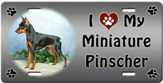 Miniature Pinscher License Plate - Love