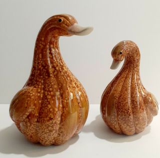 Ceramic Squash Ducks