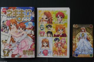 Japan Manga: Negima ? Neo Vol.  7 Limited Edition