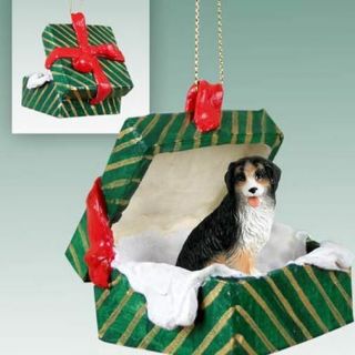 Bernese Mountian Dog Green Gift Box Holiday Christmas Ornament