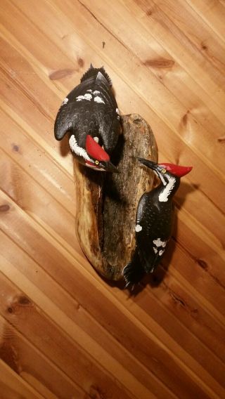 Pileated Woodpecker Wood Carving Woodpecker Decoy Duck Decoy Casey Edwards