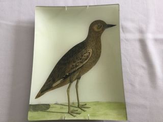 John Derian Decoupage ‘bird’ Glass Plate - Signed