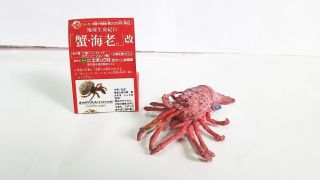 Yujin Shell Sea Ocean Creatures Educational Figures Set of 6 2