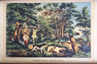 Currier And Ives Lithograph " Woodcock Shooting "