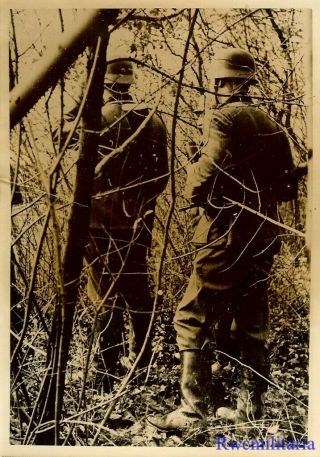 Press Photo: Great Wehrmacht Soldiers W/ Grenades In Heavy Brush On Patrol 1939