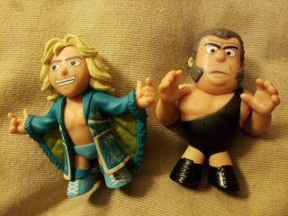 Wwe Wrestling Series 1 Ric Flair & Andre The Giant Funko Mystery Mini Exclusive