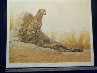 Art Print Cheetah " At Ease ",  By Guy Coheleach.  Pencil Signed ©1977 In Folder