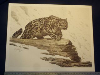 Art Print Snow Leopard.  " Mountain Stalk " By Guy Coheleach.  Pencil Signed ©1977