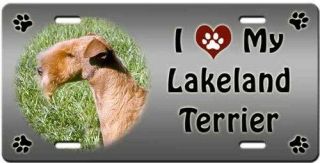 Lakeland Terrier License Plate - Love