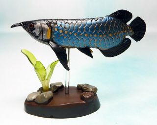 Colorata Real Figure Fossil Fish Blue Base Asian Arowana Figure