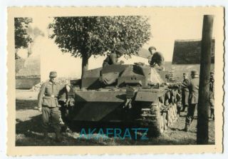 German WW2 Photo,  StuG III Assault Gun with Mountain Troops,  Field Grey Beret 2