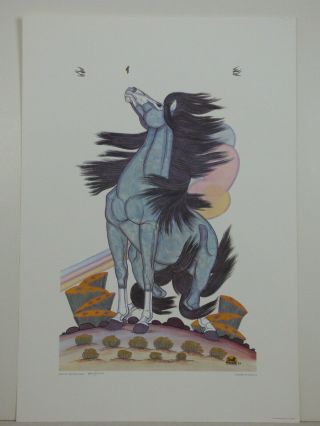 Quincy Tahoma " King Of The Stallions " Limited Edition Print Native American Art