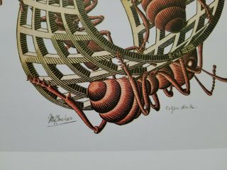 Moebius Strip Ii Möbius Mobius Crawling Red Ants Nightmarish M C Escher Print