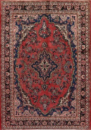Traditional Vintage Floral Area Rug Hand - Knotted Wool Oriental Carpet 7 X 10