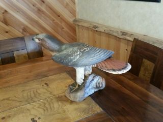 Red - Tailed Hawk Wood Carving Birds Of Prey Carving Duck Decoy Casey Edwards