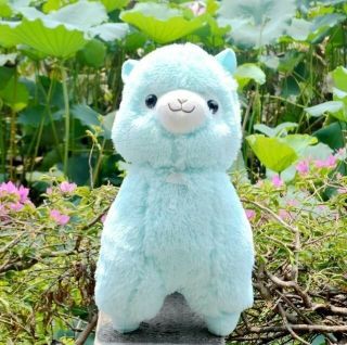 Amuse Arpakasso Alpacasso Alpaca Fresh Blue Plush Doll 14 " So Cute Gift
