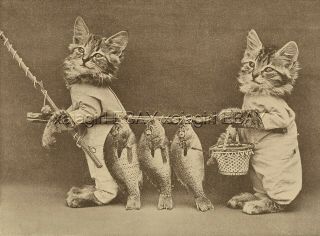 Cat Dressed Kitten Fishermen With Fishing Catch Of The Day,  Cute 1915 Print