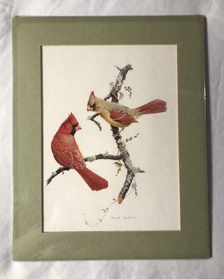 David Plank Print,  Cardinals 1973,  Unframed Matted,  Art Print 8 X 10