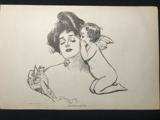 1906 Print " Story Of His Life " Charles Dana Gibson Girl W/ Cupid Valentine 