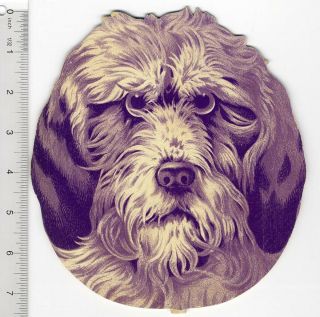 Large Die Cut Terrier Dog Intense Stare Victorian Card 1880 