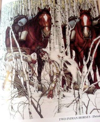 Bev Doolittle Art OOP $65 HB Gift DESK Book Western Native Americans Indians 3