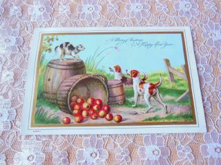 Victorian Year Card/scared Cat On Top Of Barrel/dogs Looking On/goodall