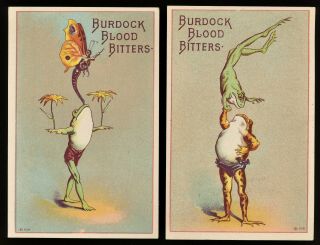 Anthropomorphic Frogs Burdock Blood Bitters Trade Card Mattawamkeag Maine