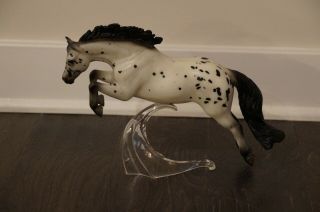 Breyer Horse Tr Appaloosa Jumper Pony Ez To Spot - Loose Mane - 1789 - Nib